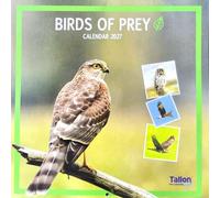 Calendario de pared cuadrado 2027 Birds of Prey, planificador salvaje, organizador para el hogar y la oficina
