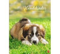 Calendario de póster para niños de perros 2025: por Monika Wegler. Fotos de cachorros para derretir en un calendario de pared. Calendario de póster con retratos de perros para todos los fans de las