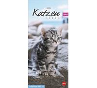 Calendario de vida de gato Whiskas 2025: Dulces gatitos en todas las situaciones de la vida en un calendario de pared para escribir. Siempre una visión general de todas las citas con el práctico