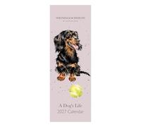 Calendario delgado 2027 de A Dog's Life' Dog