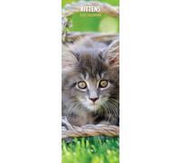 Calendario delgado 2027 Kittens