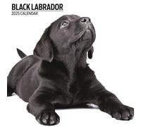 Calendario moderno 2025 Labrador Black