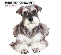 Calendario moderno Schnauzer en miniatura 2025