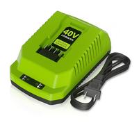 CaliHutt Cargador rápido de 40 voltios y 4 A, para Greenworks 40 V, carga rápida de repuesto para paquetes de baterías 29482 29462 29252 G-MAX de 40 V