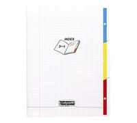 Calligraphe ES Cuaderno de muescas con grapas PP A4, rayado en Séyès, 96 páginas, transparente