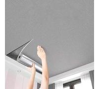 Cammeciso Placas Techo Desmontable,Paneles De Techo Autoadhesivo De PVC,Paneles Decorativos De Pared Y Techos,FáCiles De Limpiar,para DecoracióN del Hogar,La Oficina Y Las Parede