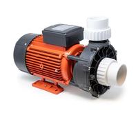 CANADIAN SPA CO. Bomba de masaje Big Red 5PS WP500-I, bomba de piscina de 1 nivel, conexión de 2,5 a 2,5 pulgadas, máx. 1120 litros por minuto, hidromasaje