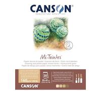 Canson-Infinity Bloc encolado Teintes 32x41 160 g 20 hojas Tonos Tierra