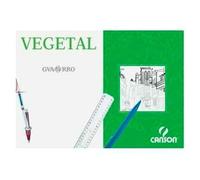 Canson Caja de Láminas Vegetal Guarro Basik 250 Hojas 90g Din A3