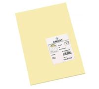 Canson-Infinity Papel de dibujo de color Iris Vivaldi suave 185gsm hoja A3