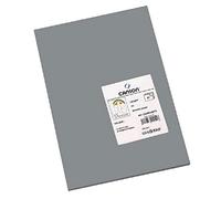 Canson-Infinity Papel de dibujo Iris Vivaldi Suave 185gsm Hoja A3 Gris oscuro
