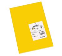 Canson-Infinity Papel de dibujo Iris Vivaldi Suave 185 gsm A3 29,7x42 cm Gualda