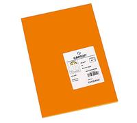 Canson-Infinity Papel de dibujo Iris Vivaldi 185 g/m² suave A3 (29,7x42 cm) Naranja hoja