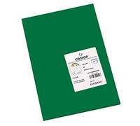 Canson Iris Vivaldi, Papel de dibujo de color, Suave, 185gsm, Hoja, A3-29,7x42cm, Verde amazonas