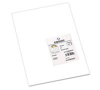 Canson Papel de dibujo de color Iris Vivaldi Suave 185 g/m² Hoja A4 Blanco