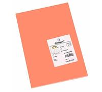 Canson Iris Vivaldi, Papel de dibujo de color, Suave, 185gsm, Hoja, A4-21x29,7cm, Coral