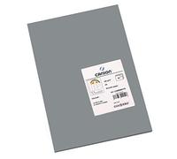 Canson-Infinity Papel de dibujo Iris Vivaldi Suave 185 gsm Hoja A4 21x29,7cm Gris oscuro