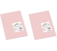 Canson Iris Vivaldi, Papel de dibujo de color, Suave, 185gsm, Hoja, A4-21x29,7cm, Pétalo de rosa (Paquete de 2)