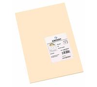 Canson-Infinity Papel de dibujo Iris Vivaldi Suave 185 g/m² Hoja A4 (21 x 29,7 cm) Piel
