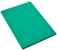 Canson-Infinity Papel de dibujo de color Iris Vivaldi Suave 185 g/m² A4 Verde Amazonas