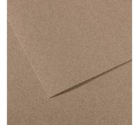 Canson Mi-Teintes Papel de Color de Pulpa Teñida, 160 g/m2, Gris (Steel Grey - 431), 21x29,39, Pack de 25