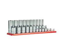 Capri Tools Juego de enchufes cromados superficiales y profundos de 1/4, 6 puntos, 3/16 a 9/16 pulgadas, SAE, 20 piezas con barra de aluminio