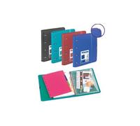 CARCHIVO Carpebloc Contrast-Opac A4 con 4 anillas, surtido de 4 colores (Set de 4)