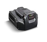 Cargador CH2100E EGO POWER
