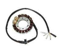 Cargador ElectroSport ESG413 para alternador