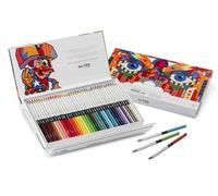 Carioca Plus - Caja Lápices Bellas Artes, Diseño Van Orton, 50 Uds