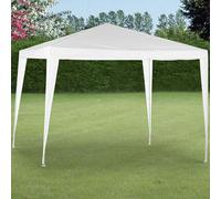 Carpa ambiance