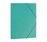 Carpeta clasificadora dohe carton plastif. fº 12 dptos.gomas y solapa