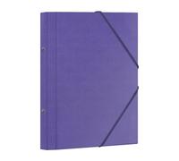 Carpeta clasificadora dohe carton plastif. fº 12 dptos.gomas y solapa
