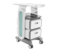 Carro de cosméticos con 2 cajones con ruedas - Carro profesional de belleza para salón de belleza, carrito de trabajo de hasta 60 kg, ideal para estética, aparatos y accesorios