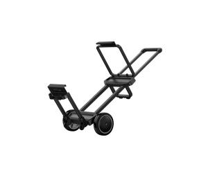 Carro EcoFlow (DELTA Pro Ultra)