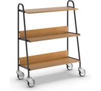Carro para archivadores con 2 bandejas LxAxH 850 x 350 x 1070 mm