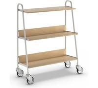 Carro para archivadores con 2 bandejas LxAxH 850 x 350 x 1070 mm