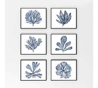 Carteles E Impresiones De Abanicos De Mar De Coral Azul Acuarela Moderna Estilo Hamptons Arte En Lienzo Pintura Imágenes Costeras Decoración De Arte De Pared para El Hogar 6Pcs 30X40Cm Sin Marco