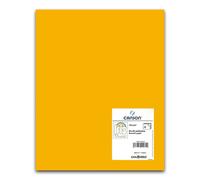 Cartulina CANSON Iris Vivaldi 50 x 65 cm. 185 gr. Amarillo Gualda, Pack x25
