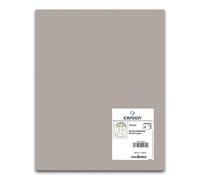 Cartulina CANSON Iris Vivaldi 50 x 65 cm. 185 gr. Gris Perla, Pack x25