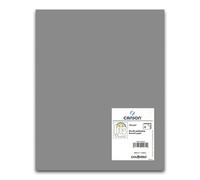 Cartulina CANSON Iris Vivaldi 50 x 65 cm. 185 gr. Gris Plomo, Pack x25