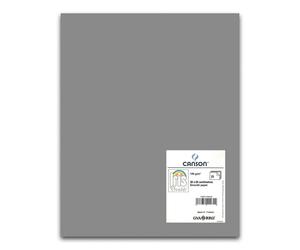 Cartulina CANSON Iris Vivaldi 50 x 65 cm. 185 gr. Gris Plomo, Pack x25