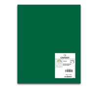 Cartulina CANSON Iris Vivaldi 50 x 65 cm. 185 gr. Verde Amazonas, Pack x25