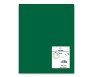 Cartulina CANSON Iris Vivaldi 50 x 65 cm. 185 gr. Verde Amazonas, Pack x25
