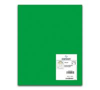 Cartulina CANSON Iris Vivaldi 50 x 65 cm. 185 gr. Verde Billar, Pack x25