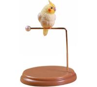 Casa de muñecas Ob11, figura detallada de un canario, hecha de resina artística, ideal para coleccionistas. Incluye un canario y una percha