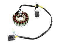 CasdsDtub Bobina De Estator De Magneto De Generador para Motocicleta 3303-833 3304-682 Compatible con Arctic Cat ATV 250 300 2X4 Auto