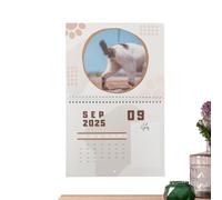 Cat Balls Calendar 2025 - Funny Wall Calendar Planner | 12 Month Annual Cat Butthole Gag, Quirky Novelty Wall Décor for Organizing & Planning, Hilarious Gift for Adults, Friends, Coworkers