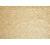 Catering aparato superstore - DP194 papel tableMat (Pack de 500)