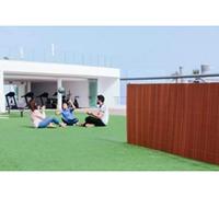 Nortene | Mimbre Ecológico Lop Mimbre 2x3 M | Cerramiento Sostenible de Alta Durabilidad | Decorativo para Jardín, Terraza y Balcón
